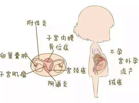 阴道分泌物午夜精品无码免费视频分析阴道炎早期症状