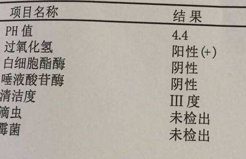 阴道分泌物午夜精品无码免费视频分析阴道清洁度