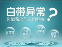 2020年山东午夜福利网址小视频全自动【白带午夜小视频网站】厂家品牌排名