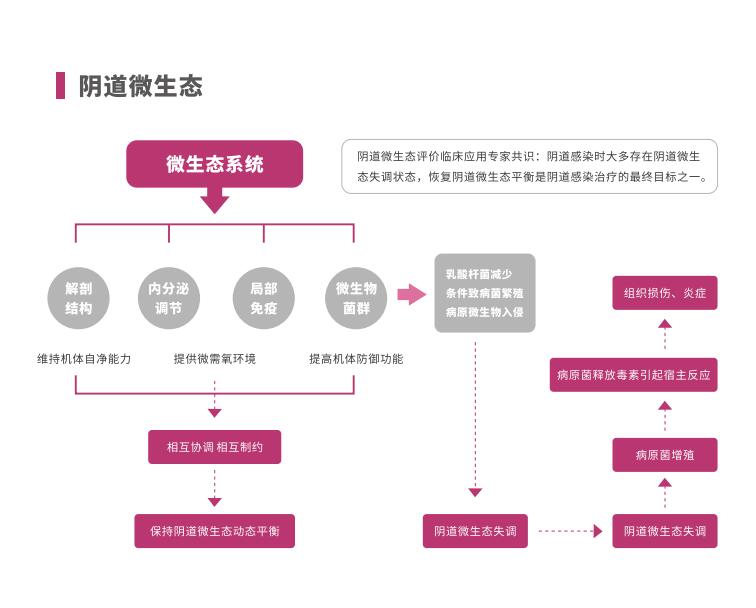 全自动阴道炎午夜精品无码免费视频LTS-V400阴道微生态系统